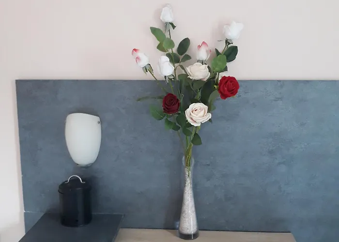 Vue Exceptionnelle Sur Le Quarto em Acomodações Particulares *